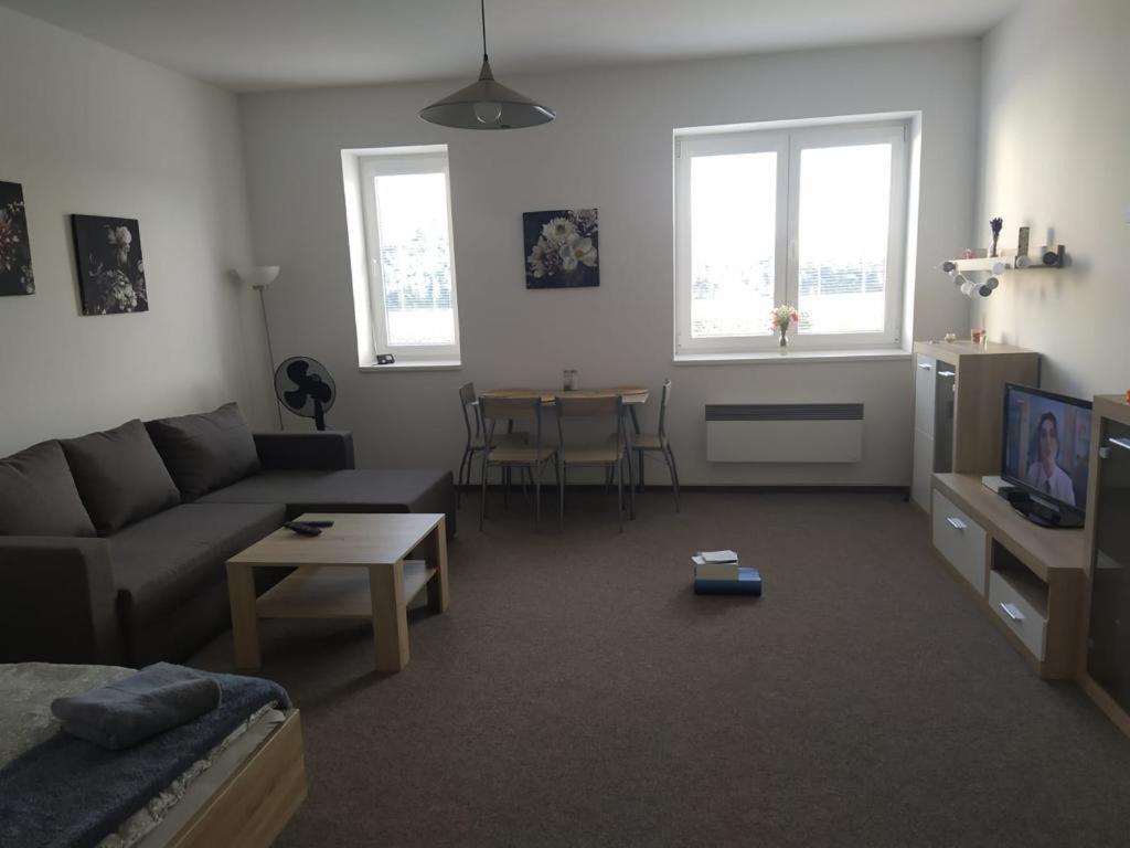 Apartment 10 Zupanovice